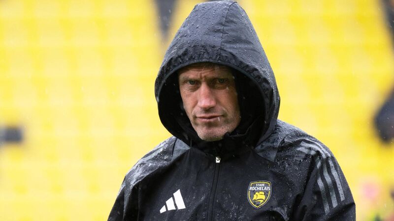 Champions Cup draw: O'Gara and Leinster to renew acquaintances, Munster to face van Graan's Bath 