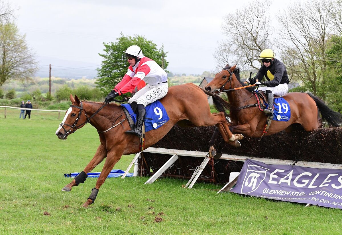 Frankies Fortune and Derek O'Connor win for trainer Robert Tyner. Frankies Fortune and Derek O'Connor win for trainer Robert Tyner.