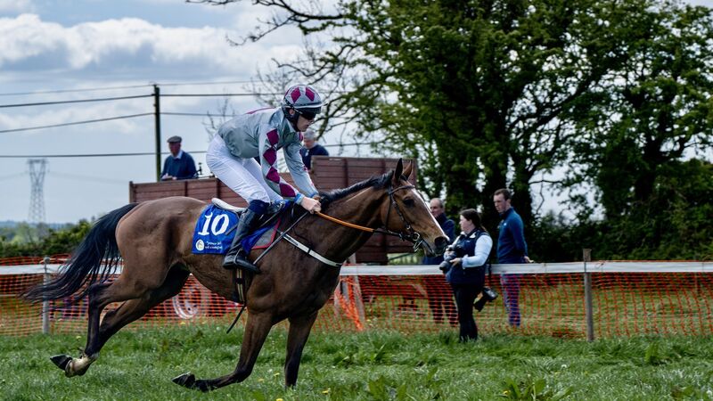 Coral Eclipse Stakes is the weekend's racing hightlight Coral Eclipse Stakes is the weekend's racing hightlight