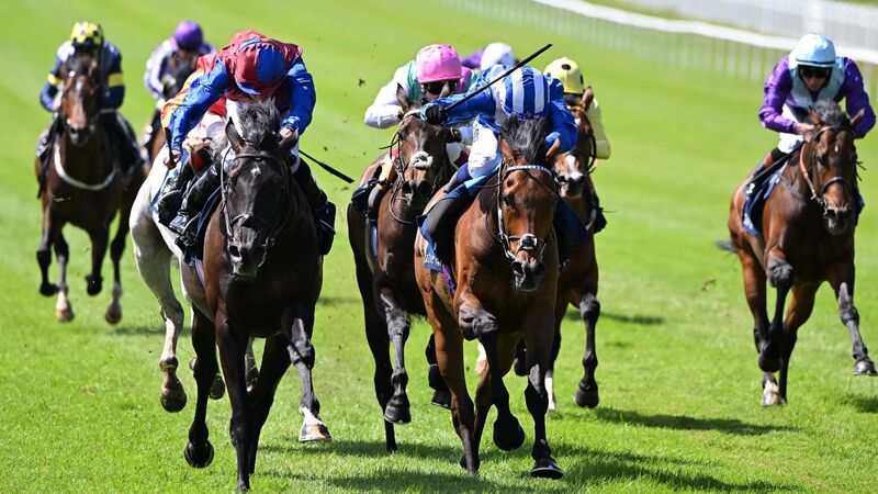 Eclipse is the weekend highlight but no White Birch in the Coral Eclipse at Sandown