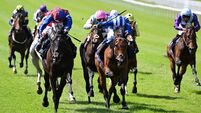 Eclipse is the weekend highlight but no White Birch in the Coral Eclipse at Sandown