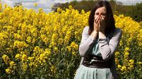 Female sneezing with hayfever in bright yellow rape seed field