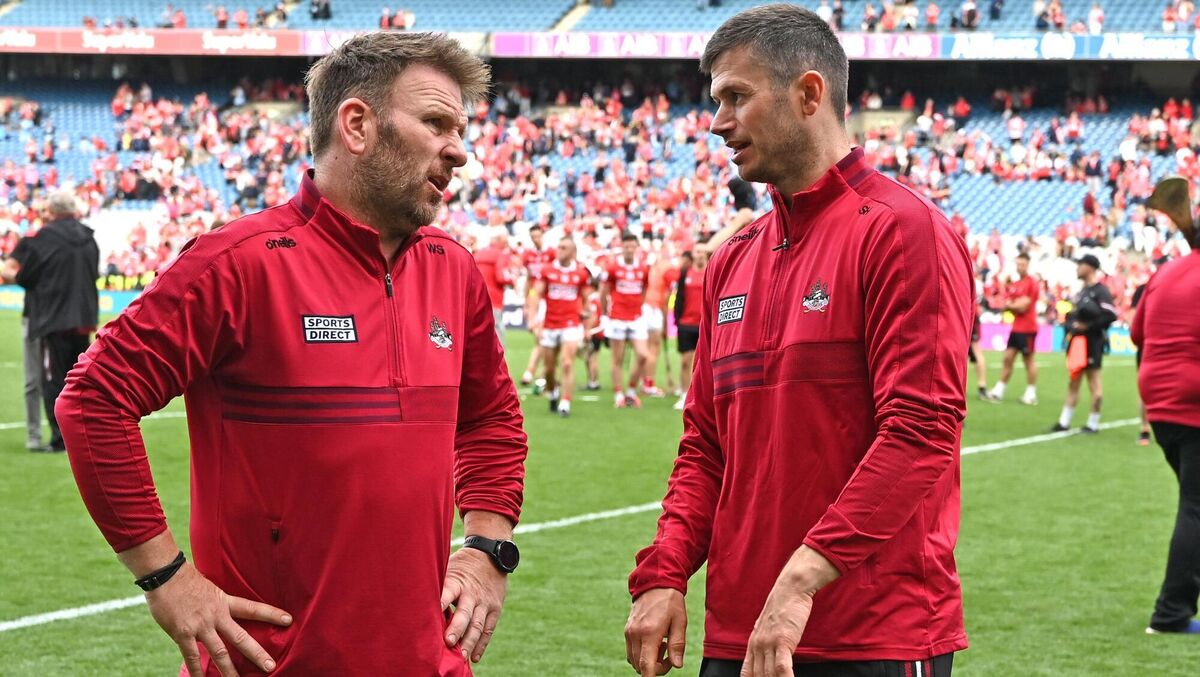 Cork selector Wayne Sherlock and Seamus Harnedy after defeating Dublin in the All-Ireland SHC semi final at Croke Park. Picture: Eddie O'Hare