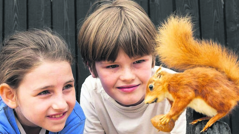 Educational weekends at Cork's Fota Wildlife Park