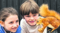 Educational weekends at Cork's Fota Wildlife Park