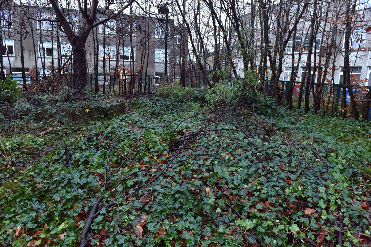 Glenamoy Lawn in Mayfield