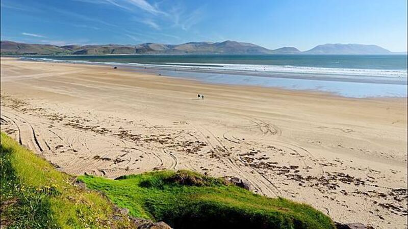 Warnings issued over painful weever fish as weather improves Warnings issued over painful weever fish as weather improves