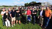 Jesse Evans owners Tom and Jack Singleton dreaming of Galway Success 