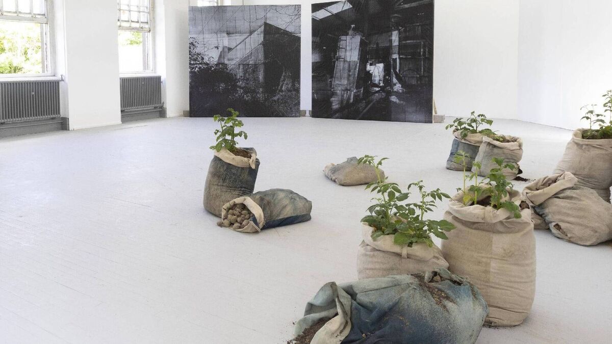 West Cork native Mac Cárthaigh receives emerging artist award from County Council