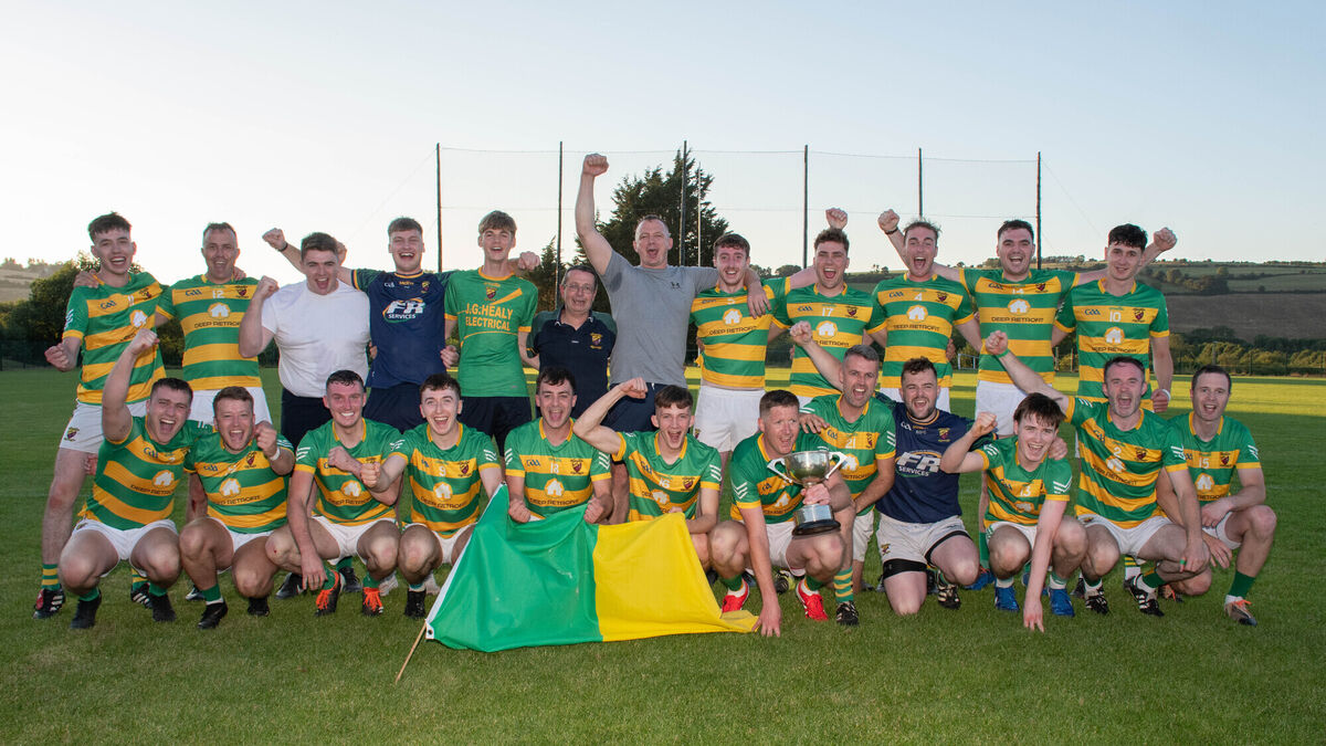 David Ludgate strikes late to secure hurling title for Ballyclough against Uibh Laoire