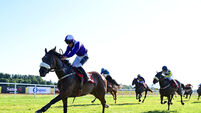 Nytol and John Shinnick deliver big win in Cork for Carrigtwohill trainer Terence O'Brien