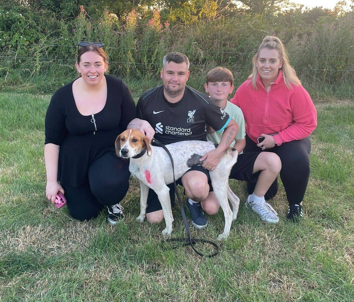 Cork Draghunting: James Greene with Starman's Son of Kerry Pike/Fair Hill Harriers, winner of Michael Coffey Memorial Puppy Draghunt at Ballygarvan, along with Susan Walsh and Joy Walsh-Greene. 