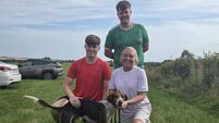 Cork Draghunting: Sean T still setting pace after solid display at Ballygarvan
