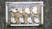 Tuam mother and baby homes