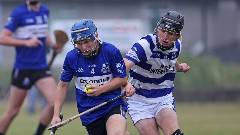 Sarsfields dominate second half to see off Inniscarra in P1 Minor Hurling League final