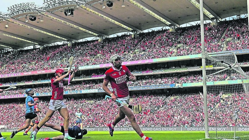 TV Sport: An armchair guide to Rebels’ date with fate TV Sport: An armchair guide to Rebels’ date with fate