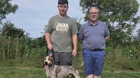 Cork Draghunting: Griffin United's super Sean T continues to deliver