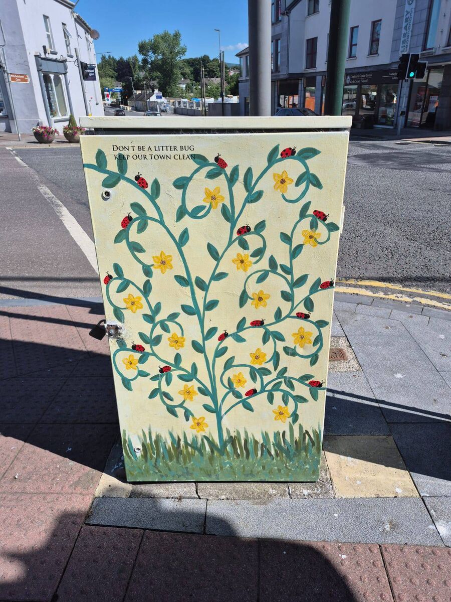 Attractive artwork in Mitchelstown urging people to keep the town tidy