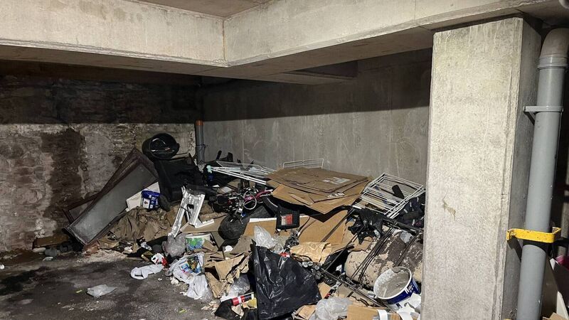 Tenants of development on Cork's northside ‘overrun’ with rats due to dumping
