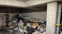 Tenants of development on Cork's northside ‘overrun’ with rats due to dumping