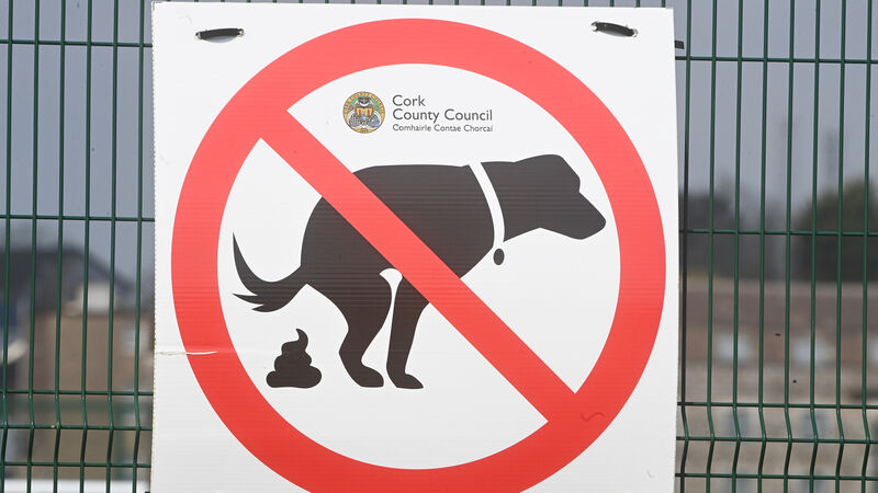 Cork dog-owners urged to take heed of publicity campaign and clean up after their pets