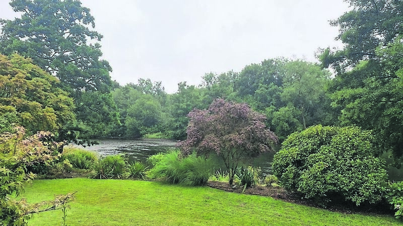 A garden paradise by the banks of the lovely Lee