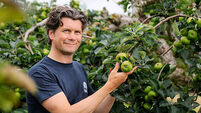 European protected status a ‘game-changer’ for Armagh Bramley apple growers