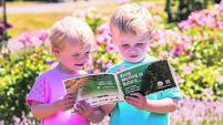 Nature trails in Cork to explore in summer holidays