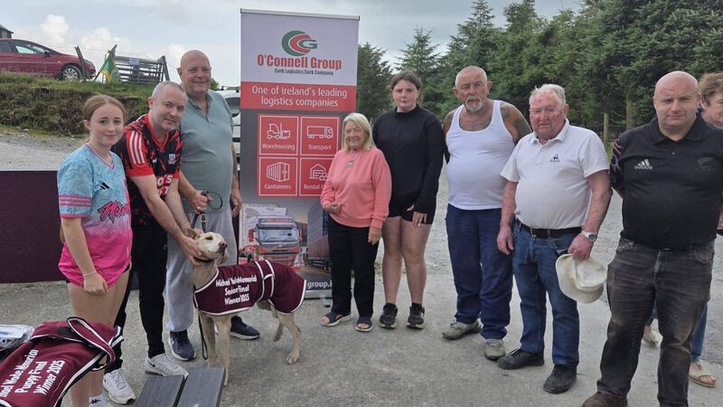 Don’t Panic Lad of Mayfield crowned All-Ireland Senior International Draghunt heat champion