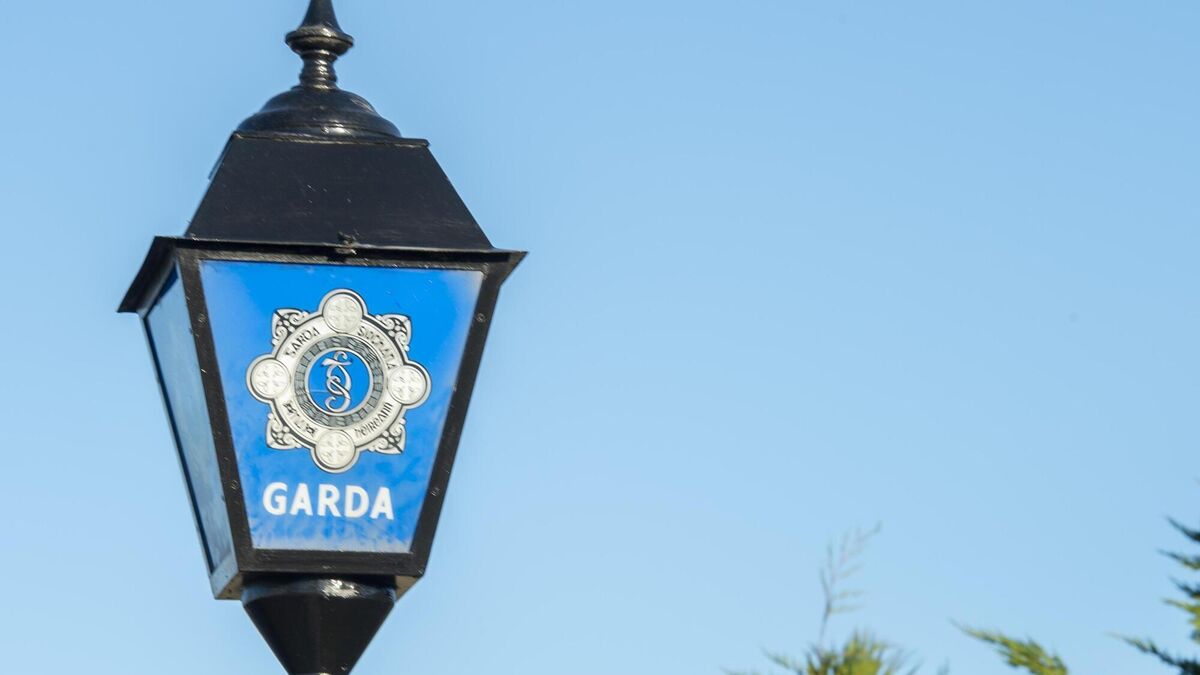 Man arrested after cannabis worth €2.1 million seized in Cork