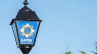 Man arrested after cannabis worth €2.1 million seized in Cork