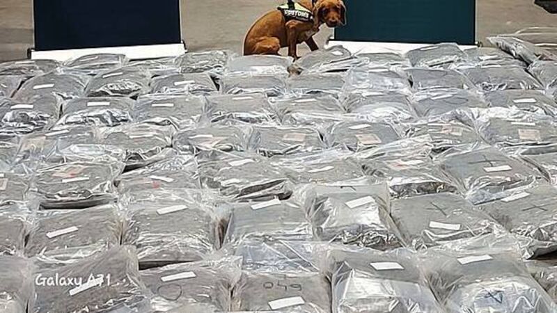 Man arrested after cannabis worth €2.1 million seized in Cork Man arrested after cannabis worth €2.1 million seized in Cork