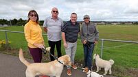 Delight at plans for enclosure and lighting of park on Cork city's northside