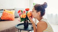 Woman smelling fresh roses in vase on table. Housewife taking care of coziness in apartment. Interior and decor