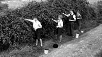 Throwback Thursday: Berry-picking season and the pubs of Blackpool