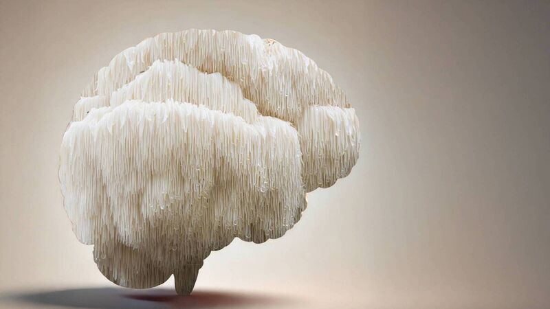 Group marks World Brain Day with call for more Cork specialist beds 