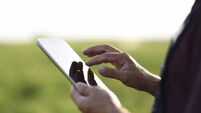 Young Farmer using a digital tablet