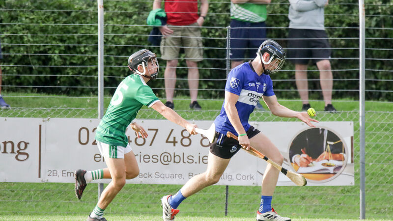 Sarsfields hold off spirited Ballincollig comeback in Premier 1 minor hurling opener