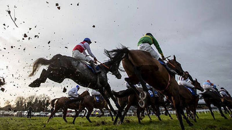 Closure of Thurles Racecourse is a 'blow to backbone of community', TD says Closure of Thurles Racecourse is a 'blow to backbone of community', TD says