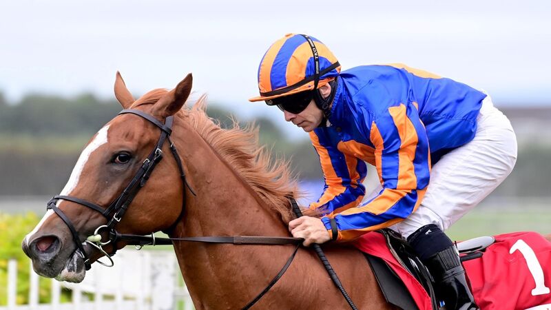 All-Action display caps off a memorable week for Cork jockey Wayne Lordan