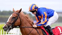 All-Action display caps off a memorable week for Cork jockey Wayne Lordan