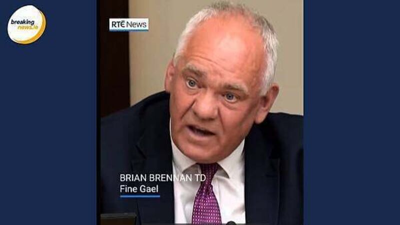 TD who visited Palestinians in Cairo says they 'so much appreciated' Irish solidarity TD who visited Palestinians in Cairo says they 'so much appreciated' Irish solidarity