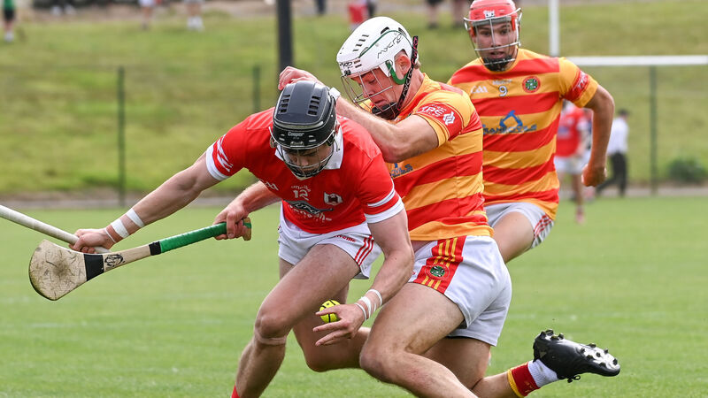Premier SHC: Darragh Fitzgibbon drives Charleville to impressive victory over Newcestown