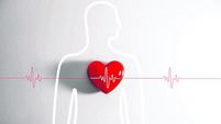 A red heart and a line wave drawing a Charity donation linear symbol