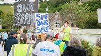 Cork marine campaigner calls for fishing moratorium to save Irish sprat