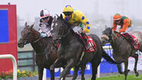 First Galway Festival win for Cork trainer Kevin Coleman