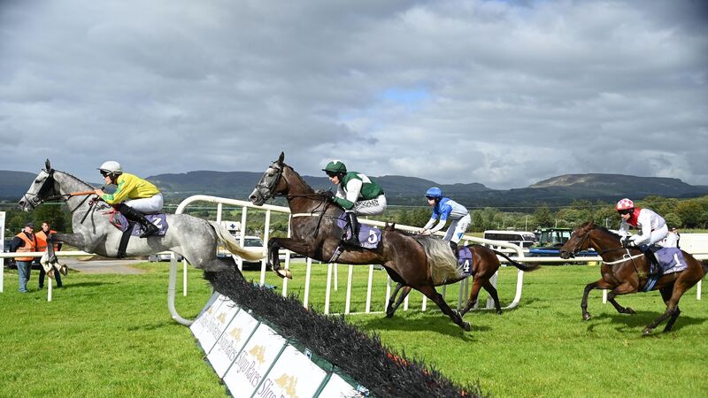 Cork jockeys Brian Hayes, Paul Townend and Wayne Lordan land impressive wins