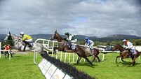 Cork jockeys Brian Hayes, Paul Townend and Wayne Lordan land impressive wins