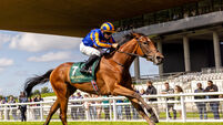 Wayne Lordan on Diamond Necklace wins 9/8/2025