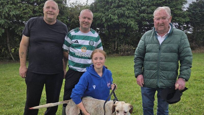Cork Draghunting: Knock's Boy finishes in style to win Keith O’Callaghan Memorial Senior Draghunt